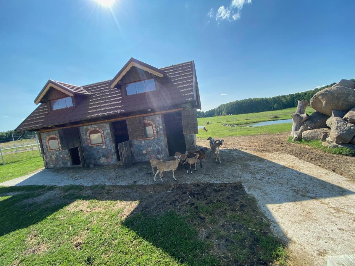 Hotel Sebory Przasnysz Exteriér fotografie